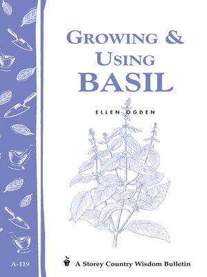 Growing & Using Basil - ebook